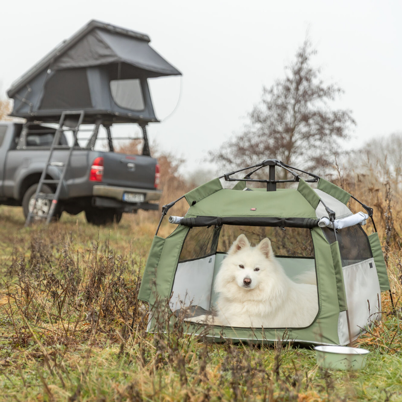 TRIXIE Pop-up Hundezelt
