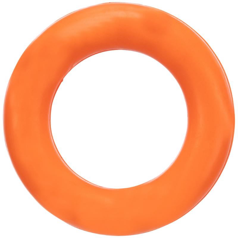 TRIXIE Ring Hundespielzeug