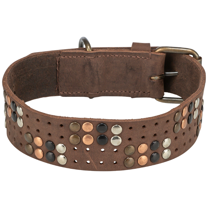 TRIXIE Rustic Fettleder-Halsband Nieten, extra breit