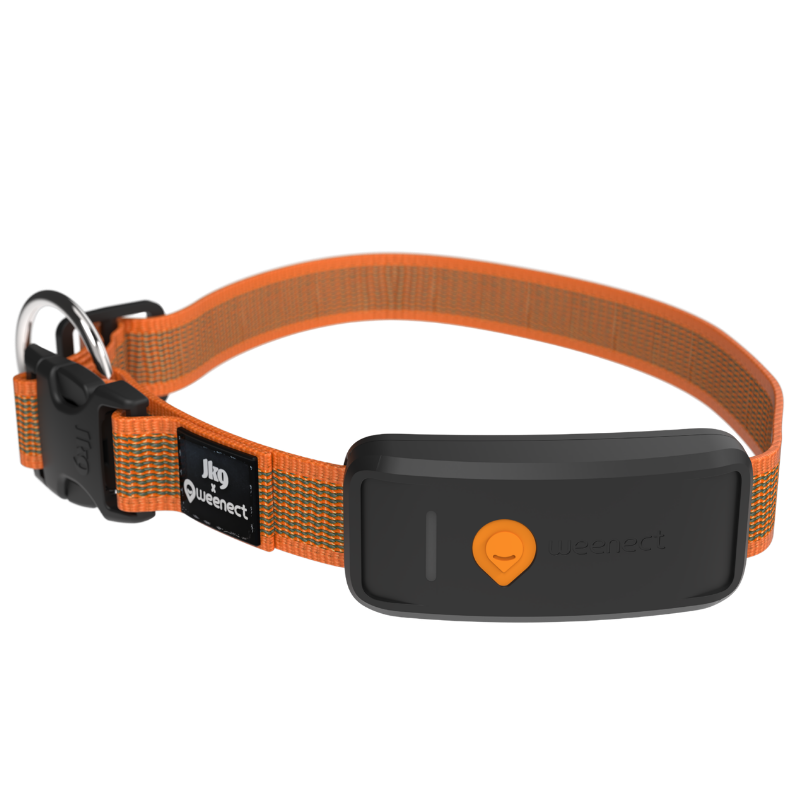 Weenect GPS Tracker XT Dog