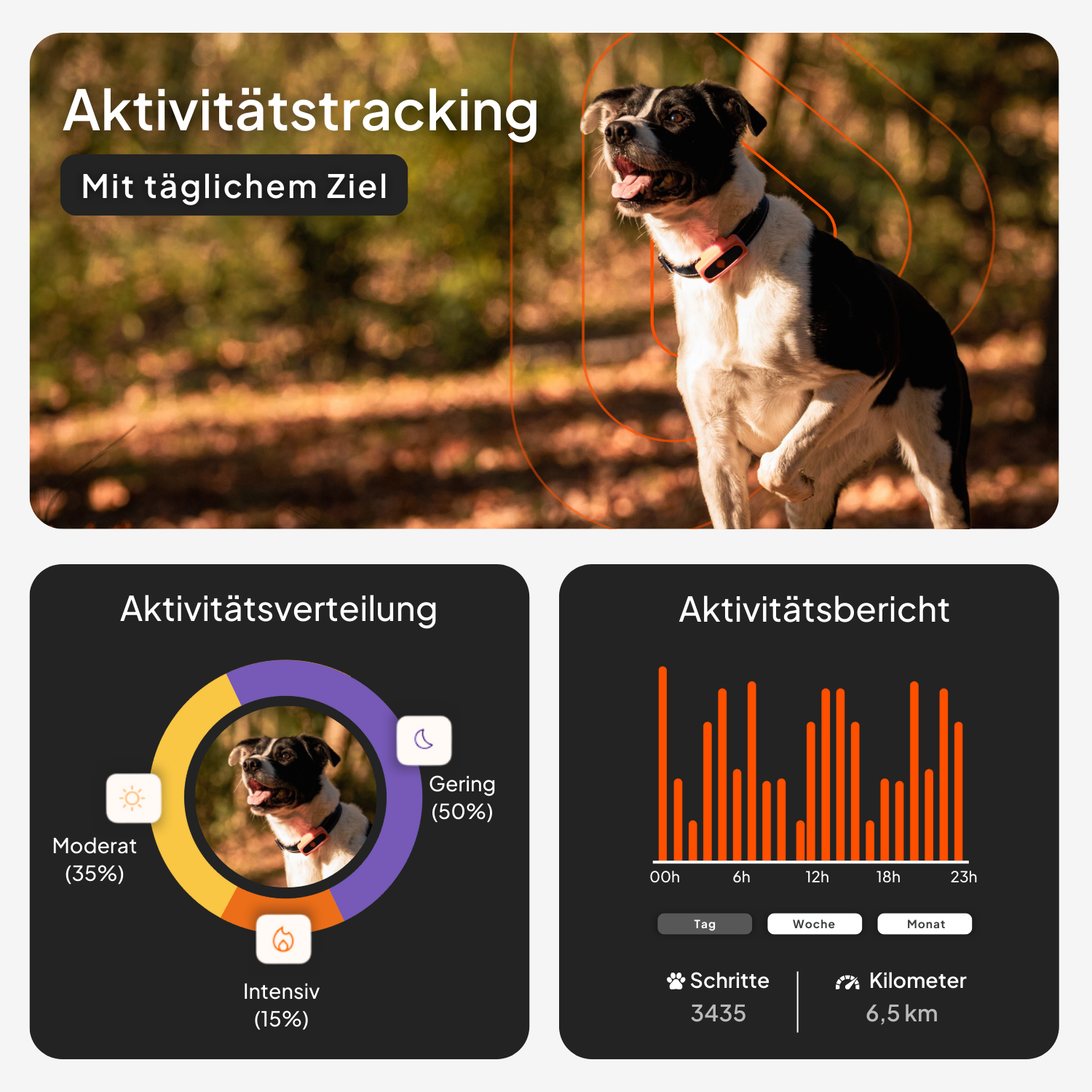 Weenect GPS Tracker XS Dog
