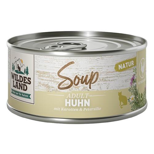 Wildes Land Soup Huhn mit Karotten